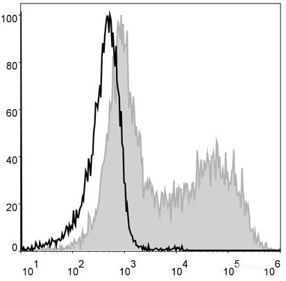 Mouse splenocytes are stained with PE Anti-Mouse MHC II (I-A/I-E) Antibody[Used at 0.02 μg/10<sup>6</sup> cells dilution](filled gray histogram). Unstained splenocytes (blank black histogram) are used as control.