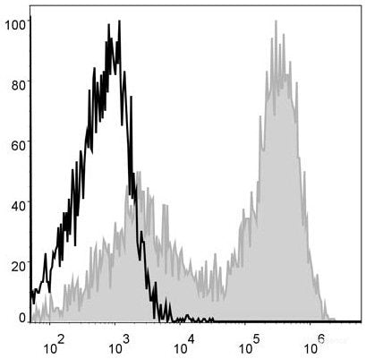 Mouse splenocytes are stained with APC Anti-Mouse MHC II (I-A/I-E) Antibody[Used at 0.2 μg/10<sup>6</sup> cells dilution](filled gray histogram). Unstained splenocytes (blank black histogram) are used as control.