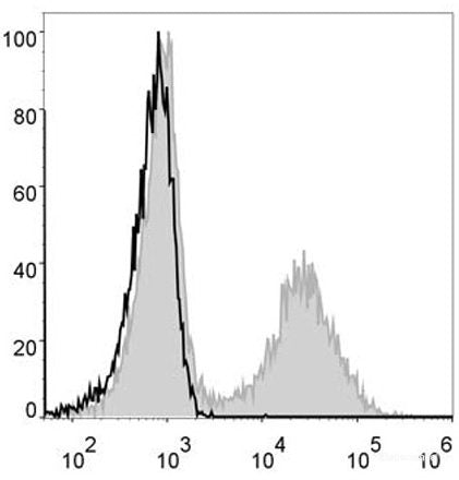 Mouse splenocytes are stained with AF488 Anti-Mouse MHC II (I-A/I-E) Antibody[Used at 0.2 μg/10<sup>6</sup> cells dilution](filled gray histogram). Unstained splenocytes (blank black histogram) are used as control.