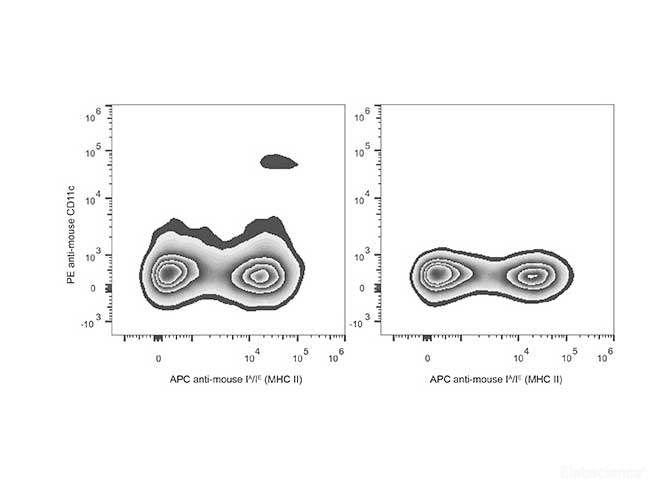 C57BL/6 murine splenocytes are stained with PE Anti-Mouse CD11c Antibody[Used at 0.02 μg/10<sup>6</sup> cells dilution] and APC Anti-Mouse MHC II (I-A/I-E) Antibody. Splenocytes stained with APC Anti-Mouse MHC II (I-A/I-E) Antibody(Right) are used as control.
