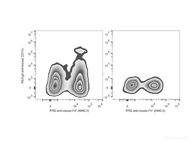 C57BL/6 murine splenocytes are stained with PE/Cyanine5 Anti-Mouse CD11c Antibody[Used at 0.2 μg/10<sup>6</sup> cells dilution] and FITC Anti-Mouse MHC II (I-A/I-E) Antibody. Splenocytes stained with FITC Anti-Mouse MHC II (I-A/I-E) Antibody(Right) are used as control.