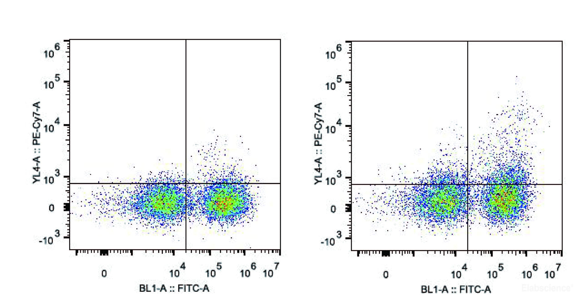 C57BL/6 murine splenocytes are stained with PE/Cyanine7 Anti-Mouse CD11c Antibody[Used at 0.05 μg/10<sup>6</sup> cells dilution] and FITC Anti-Mouse MHC II (I-A/I-E) Antibody(Right). Splenocytes stained with FITC Anti-Mouse MHC II (I-A/I-E) Antibody are used as control.