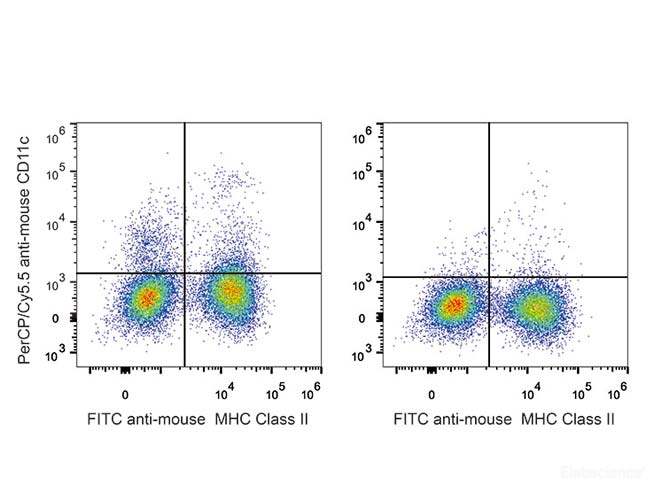 C57BL/6 murine splenocytes are stained with PerCP/Cyanine5.5 Anti-Mouse CD11c Antibody[Used at 0.2 μg/10<sup>6</sup> cells dilution] and FITC Anti-Mouse MHC II (I-A/I-E) Antibody. Splenocytes stained with FITC Anti-Mouse MHC II (I-A/I-E) Antibody(Right) are used as control.