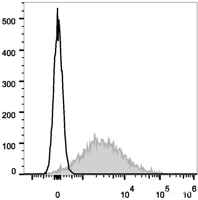 LPS-stimulated (3 days) C57BL/6 murine splenocytes are stained with AF647 Anti-Mouse CD86 Antibody[Used at 0.2 μg/10<sup>6</sup> cells dilution](filled gray histogram). Unstained splenocytes (empty black histogram) are used as control.