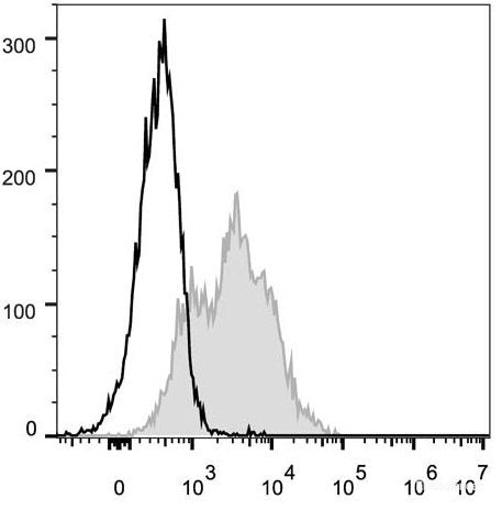 FITC Anti-Mouse CD54 Antibody[YN1/1.7.4]