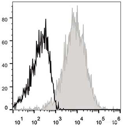 APC Anti-Mouse CD54 Antibody[YN1/1.7.4]