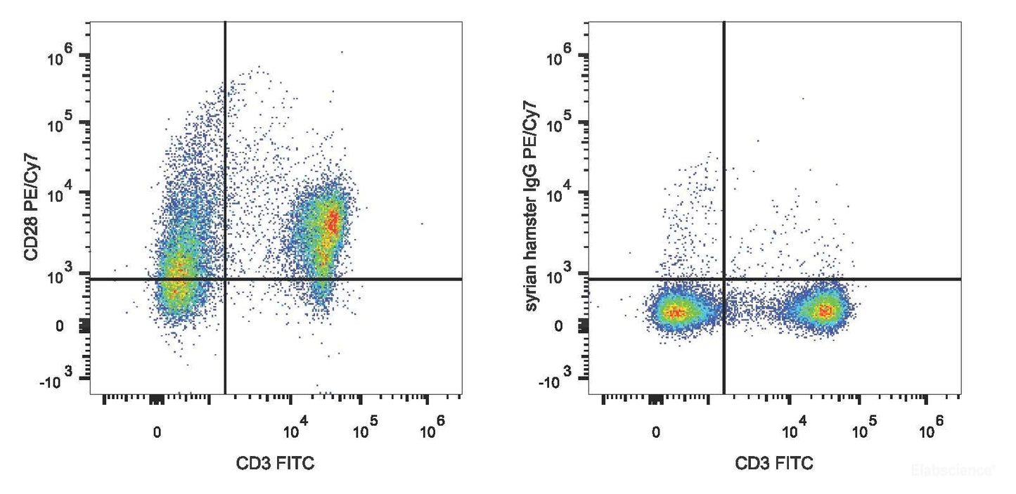 C57BL/6 murine splenocytes are stained with PE/Cyanine7 Anti-Mouse CD28 Antibody[Used at 0.2 μg/10<sup>6</sup> cells dilution] and FITC Anti-Mouse CD3 Antibody(Left). Splenocytes stained with FITC Anti-Mouse CD3 Antibody and PE/Cyanine7 Rat IgG1 Isotype Control(Right) are used as control.