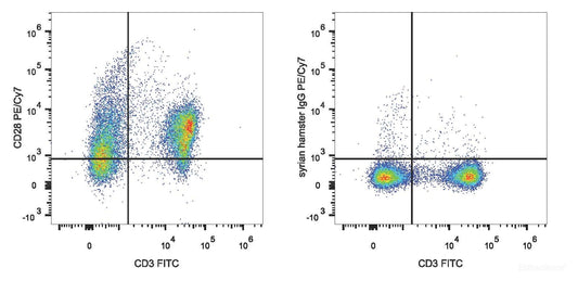 C57BL/6 murine splenocytes are stained with PE/Cyanine7 Anti-Mouse CD28 Antibody[Used at 0.2 μg/10<sup>6</sup> cells dilution] and FITC Anti-Mouse CD3 Antibody(Left). Splenocytes stained with FITC Anti-Mouse CD3 Antibody and PE/Cyanine7 Rat IgG1 Isotype Control(Right) are used as control.