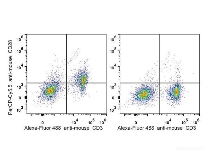 C57BL/6 murine splenocytes are stained with PerCP-Cyanine5.5 Anti-Mouse CD28 Antibody[Used at 0.2 μg/10<sup>6</sup> cells dilution] and AF488 Anti-Mouse CD3 Antibody. Splenocytes stained with AF488 Anti-Mouse CD3 Antibody(Right) are used as control.