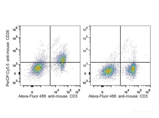 C57BL/6 murine splenocytes are stained with PerCP-Cyanine5.5 Anti-Mouse CD28 Antibody[Used at 0.2 μg/10<sup>6</sup> cells dilution] and AF488 Anti-Mouse CD3 Antibody. Splenocytes stained with AF488 Anti-Mouse CD3 Antibody(Right) are used as control.