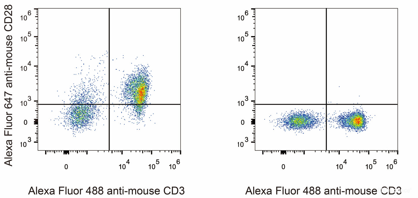 C57BL/6 murine splenocytes are stained with AF647 Anti-Mouse CD28 Antibody[Used at 0.2 μg/10<sup>6</sup> cells dilution] and AF488 Anti-Mouse CD3 Antibody. Splenocytes stained with AF488 Anti-Mouse CD3 Antibody(Right) are used as control.
