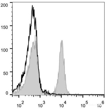 C57BL/6 murine splenocytes are stained with PE Anti-Mouse CD40 Antibody[Used at 0.02 μg/10<sup>6</sup> cells dilution](filled gray histogram). Unstained splenocytes (empty black histogram) are used as control.