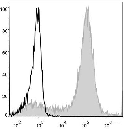 PE Anti-Mouse/Human CD11b Antibody[M1/70]