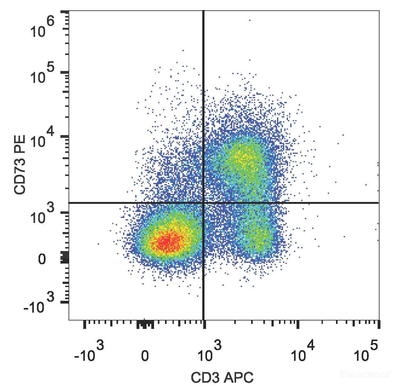 C57BL/6 murine splenocytes are stained with PE Anti-Mouse CD73 Antibody[Used at 0.2 μg/10<sup>6</sup> cells dilution] and APC Anti-Mouse CD3 Antibody.