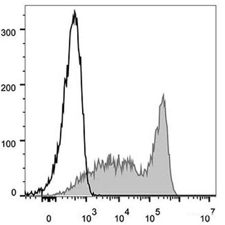 FITC Anti-Mouse CD90.2 Antibody[30H12]