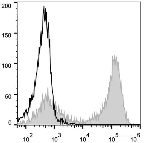 PE Anti-Mouse CD90.2 Antibody[30H12]