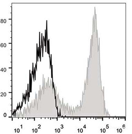 APC Anti-Mouse CD90.2 Antibody[30H12]