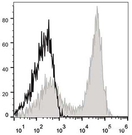 C57BL/6 murine splenocytes are stained with APC Anti-Mouse CD90.2 Antibody[Used at 0.2 μg/10<sup>6</sup> cells dilution](filled gray histogram). Unstained splenocytes (empty black histogram) are used as control.