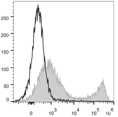 C57BL/6 murine splenocytes are stained with PerCP/Cyanine5.5 Anti-Mouse CD90.2 Antibody[Used at 0.2 μg/10<sup>6</sup> cells dilution](filled gray histogram). Unstained splenocytes (empty black histogram) are used as control.