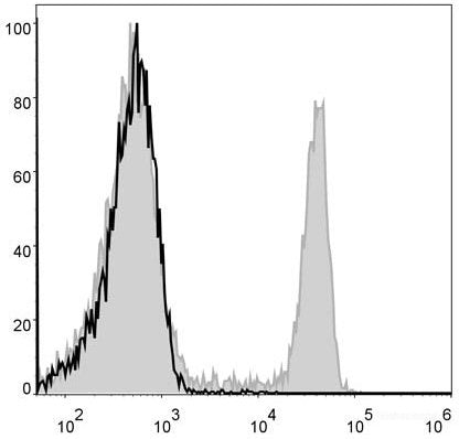 FITC Anti-Mouse CD4 Antibody[GK1.5]