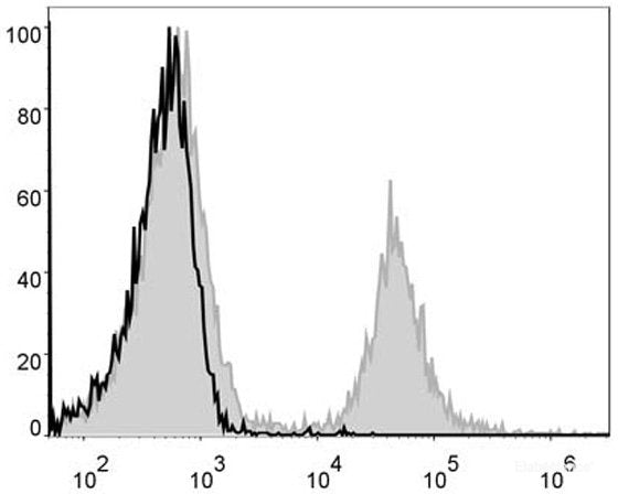 PE Anti-Mouse CD4 Antibody[GK1.5]