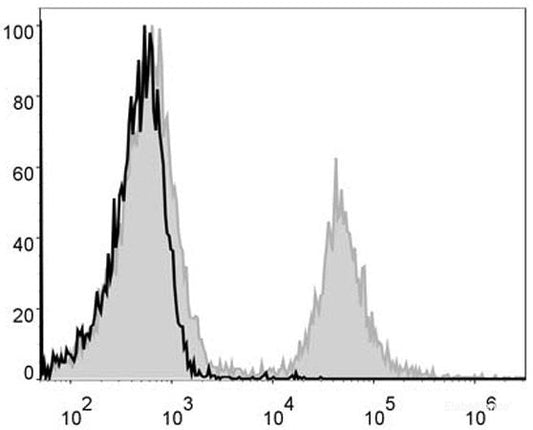 PE Anti-Mouse CD4 Antibody[GK1.5]
