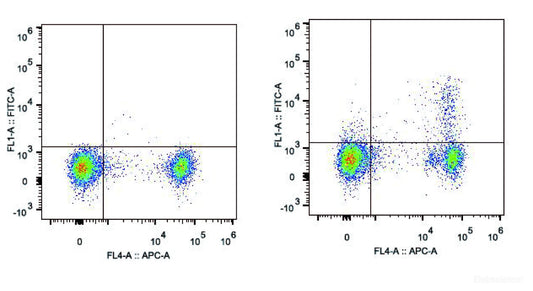 C57BL/6 murine splenocytes are stained with FITC Anti-Mouse CD25 Antibody and APC Anti-Mouse CD4 Antibody(Right). Splenocytes stained with APC Anti-Mouse CD4 Antibody(Left) are used as control.