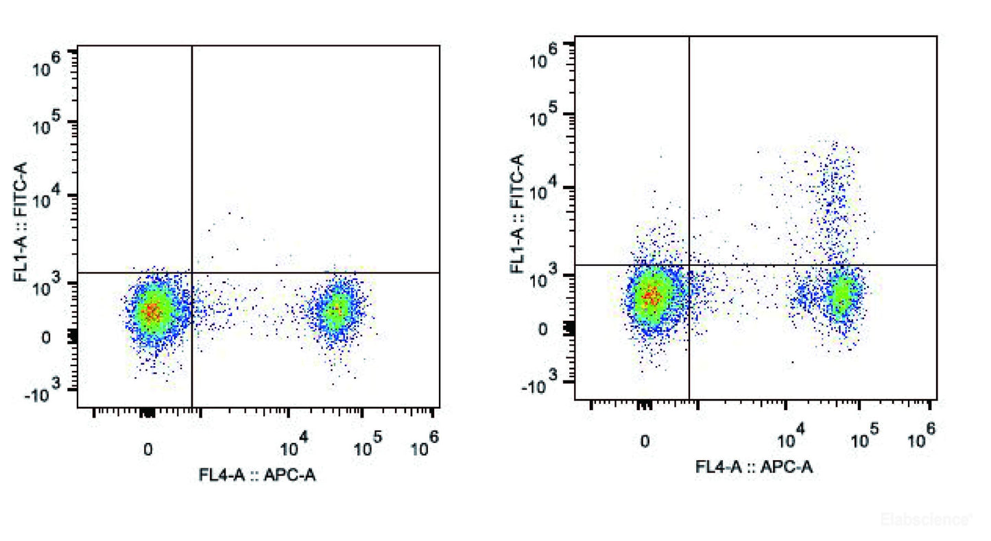 C57BL/6 murine splenocytes are stained with FITC Anti-Mouse CD25 Antibody[Used at 0.2 μg/10<sup>6</sup> cells dilution] and APC Anti-Mouse CD4 Antibody(Right). Splenocytes stained with APC Anti-Mouse CD4 Antibody are used as control.