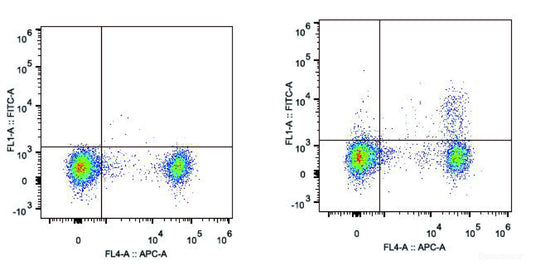 C57BL/6 murine splenocytes are stained with AF488 Anti-Mouse CD25 Antibody[Used at 0.2 μg/10<sup>6</sup> cells dilution] and APC Anti-Mouse CD4 Antibody(Right). Splenocytes stained with APC Anti-Mouse CD4 Antibody are used as control.