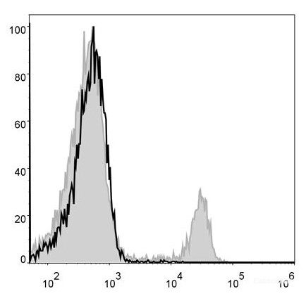 FITC Anti-Mouse CD8a Antibody[53-6.7]