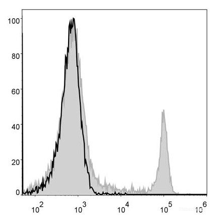 Mouse splenocytes are stained with AF488 Anti-Mouse CD8a Antibody[Used at 0.2 μg/10<sup>6</sup> cells dilution](filled gray histogram). Unstained splenocytes (blank black histogram) are used as control.