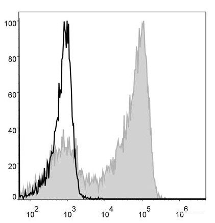 PE Anti-Mouse Ly6G Antibody[1A8]