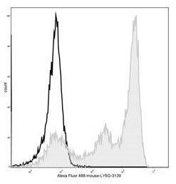 Mouse bone marrow cells are stained with AF488 Anti-Mouse Ly6G Antibody[Used at 0.2 μg/10<sup>6</sup> cells dilution](filled gray histogram). Unstained bone marrow cells (blank black histogram) are used as control.