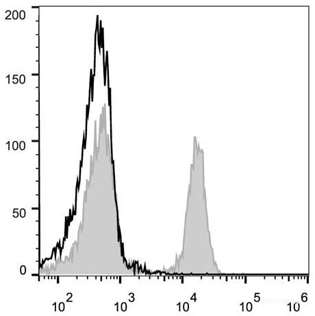 PE Anti-Mouse CD45R/B220 Antibody[RA3.3A 1/6.1]