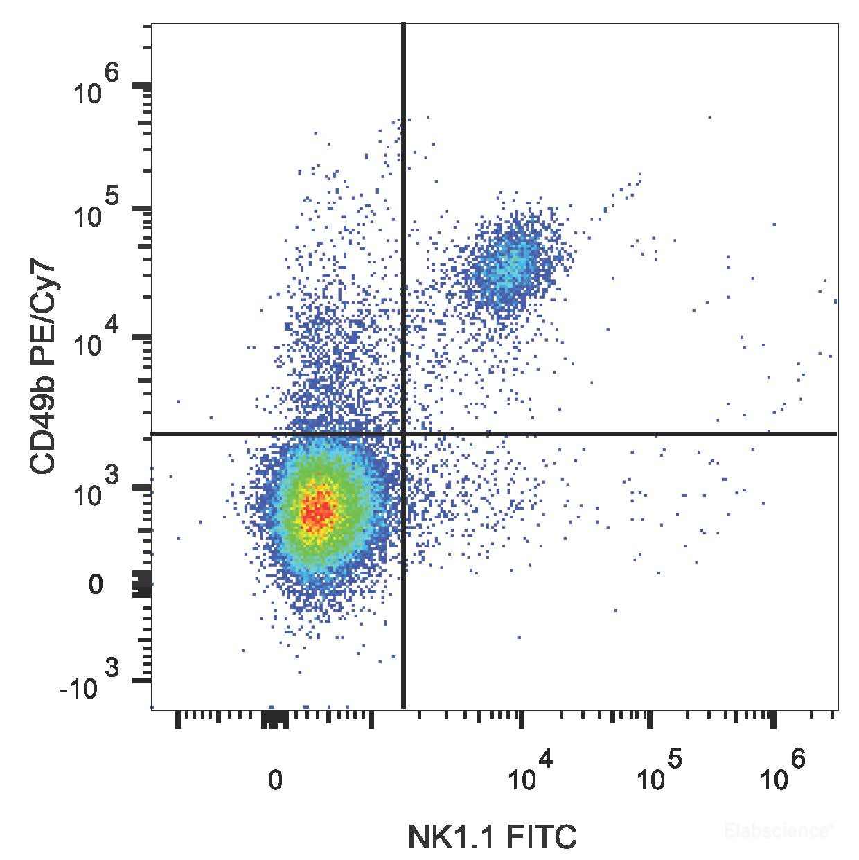 C57BL/6 murine splenocytes are stained with PE/Cyanine7 Anti-Mouse CD49b Antibody[Used at 0.2 μg/10<sup>6</sup>cells dilution] and FITC Anti-Mouse CD161/NK1.1 Antibody.