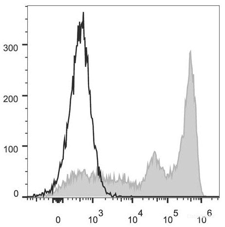 FITC Anti-Mouse Ly-6G/Ly-6C (Gr-1) Antibody[RB6-8C5]