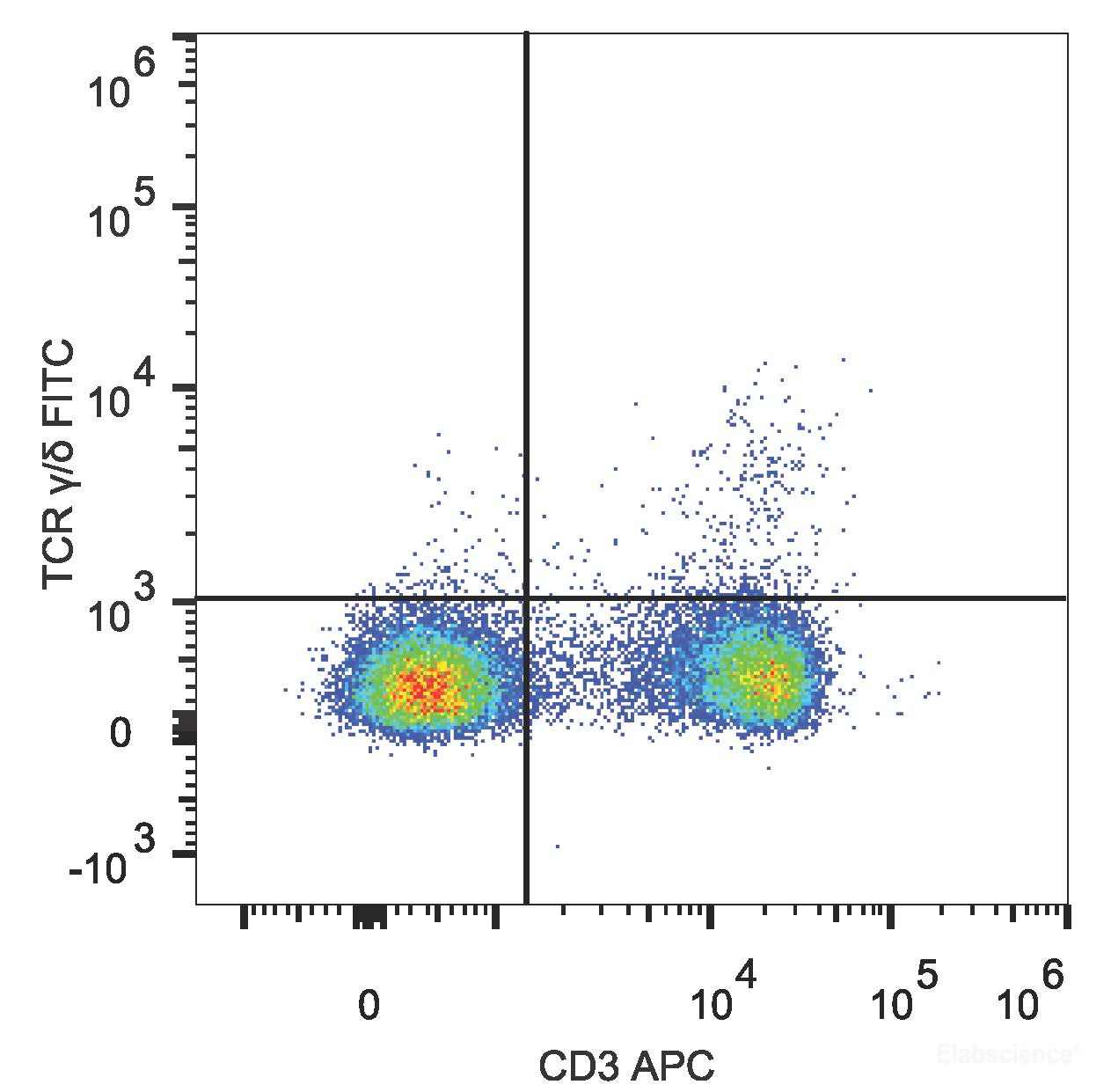 FITC Anti-Mouse TCR γ/δ Antibody[UC7-13D5]
