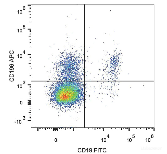 Human peripheral blood lymphocytes are stained with APC Anti-Human CD196/CCR6 Antibody and FITC Anti-Human CD19 Antibody.