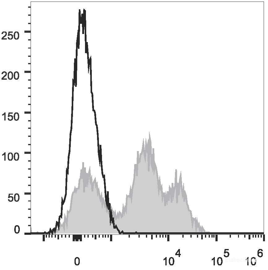 PE Anti-Mouse CD24 Antibody[M1/69]