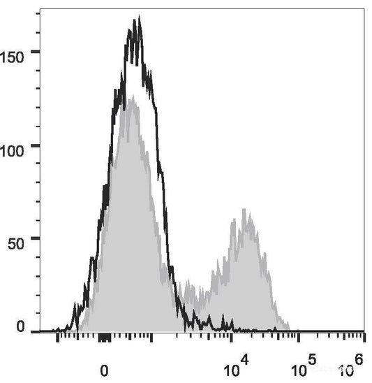 FITC Anti-Mouse CD5 Antibody[53-7.3]