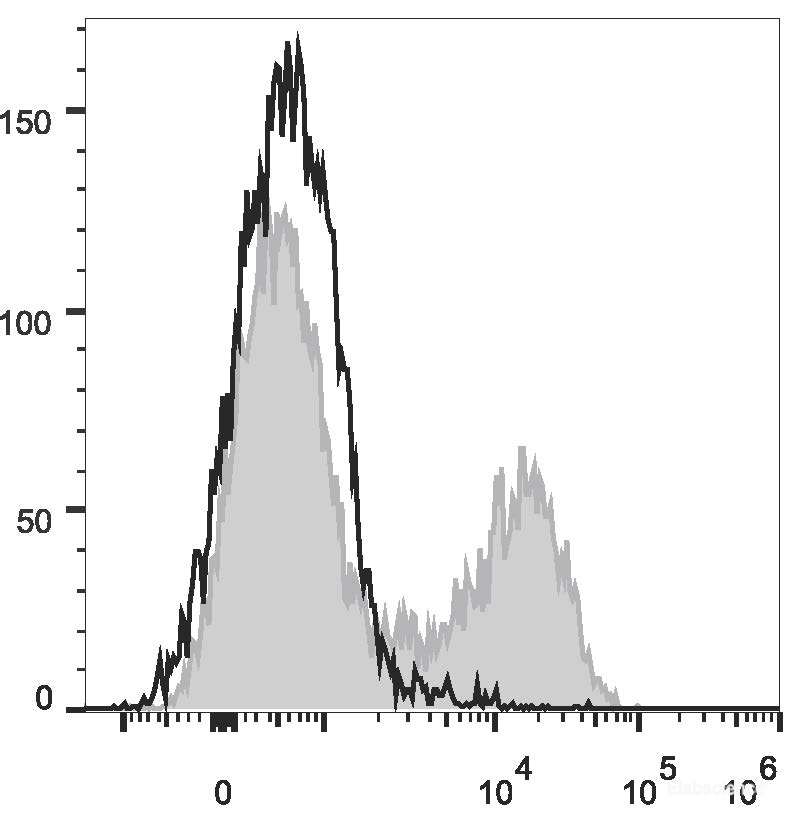 FITC Anti-Mouse CD5 Antibody[53-7.3]