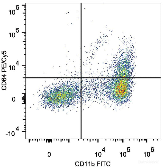 C57BL/6 murine bone marrow cells are stained with PE/Cyanine5 Anti-Mouse CD64 Antibody and FITC Anti-Mouse CD11b Antibody.