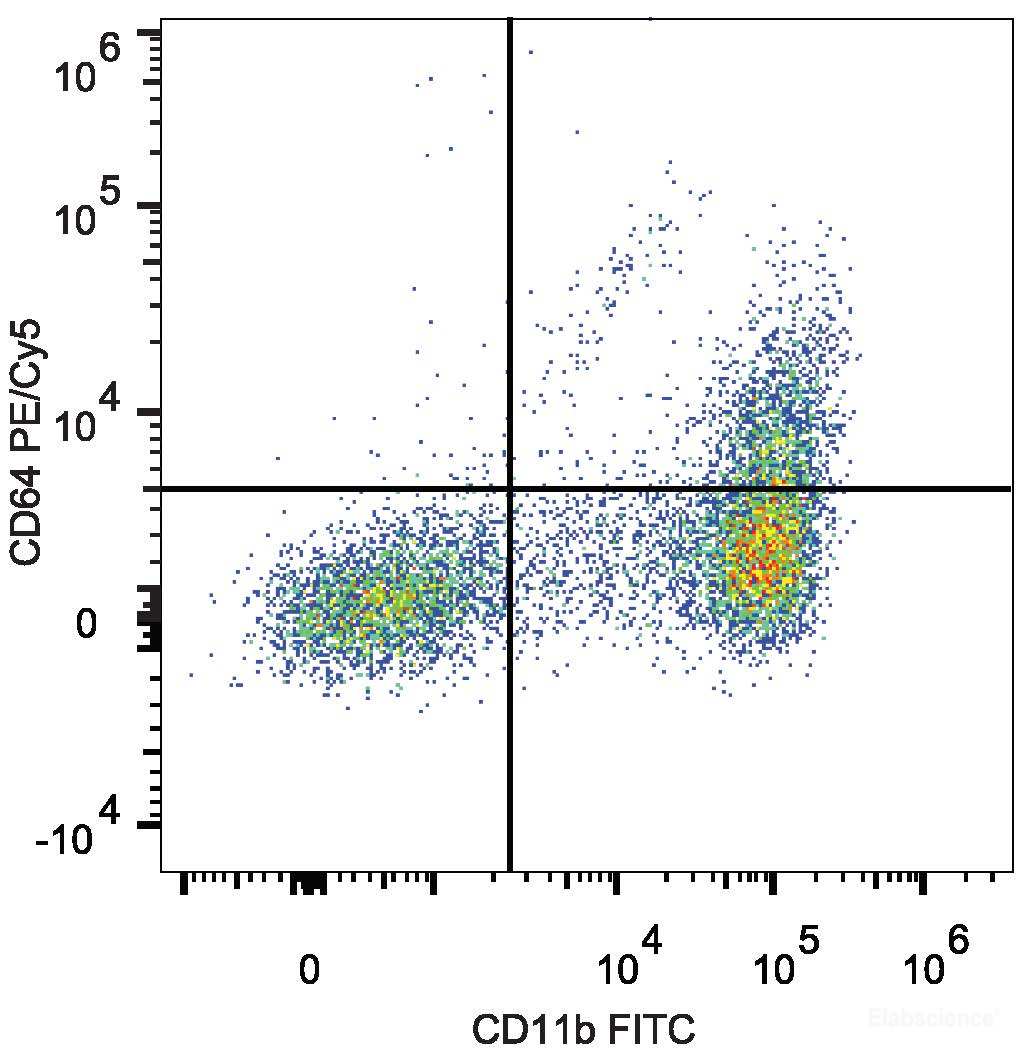 C57BL/6 murine bone marrow cells are stained with PE/Cyanine5 Anti-Mouse CD64 Antibody[Used at 0.2 μg/10<sup>6</sup> cells dilution] and FITC Anti-Mouse CD11b Antibody.