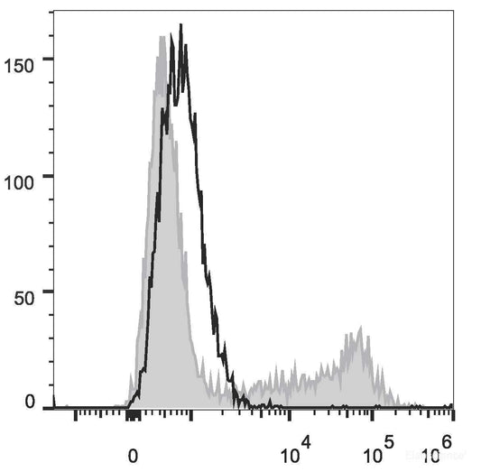 HEK293T cells transiently transfected with pcDNA3.1 plasmid encoding Mouse IL-10 gene are stained with APC Anti-Mouse IL-10 Antibody[Used at 0.2 μg/10<sup>6</sup> cells dilution](filled gray histogram)or APC Rat IgG2b, κ lsotype Control(empty black histogram).