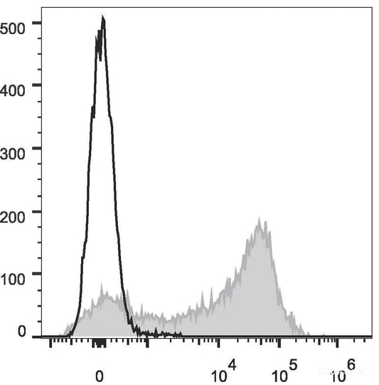 APC Anti-Rat CD44H Antibody[OX-49]
