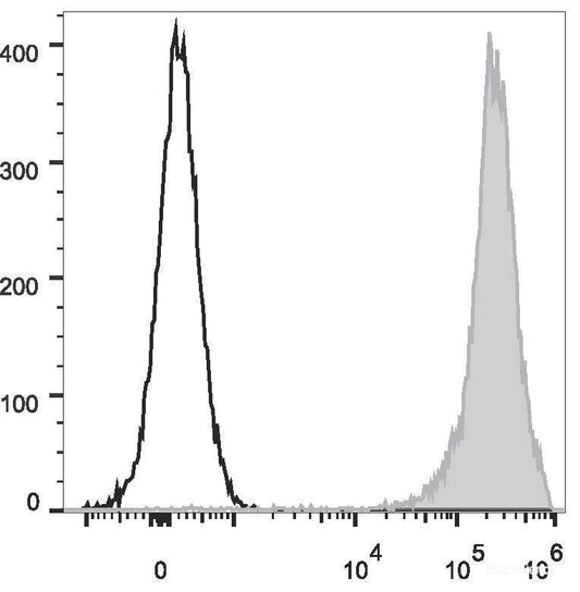 FITC Anti-Rat CD90/Mouse CD90.1 Antibody[OX-7]