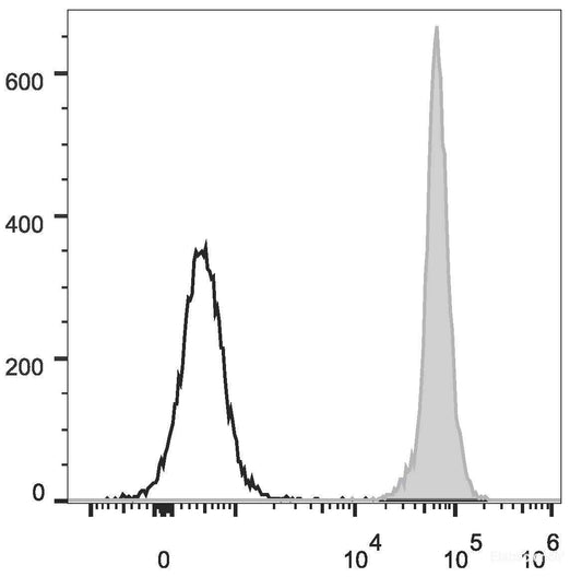 FITC Anti-Rat CD45 Antibody[OX-1]