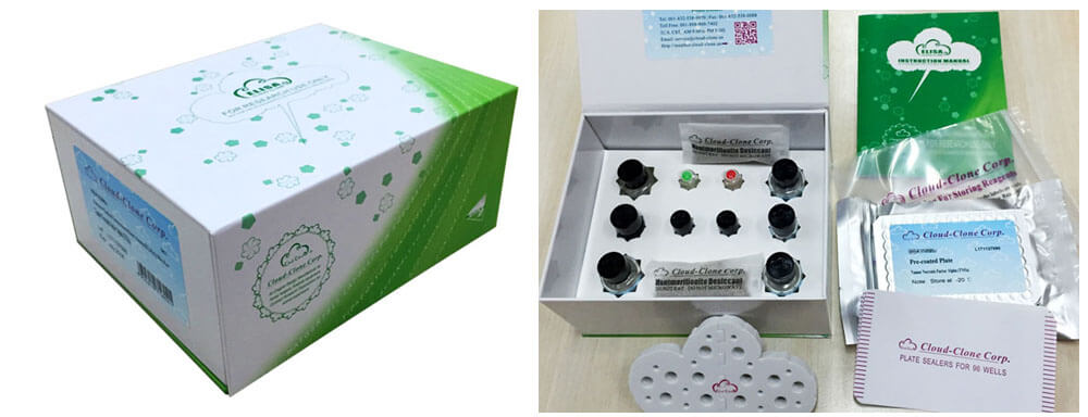 ELISA Kit for Peripherin (PRPH)