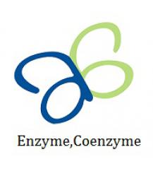Mouse Lysozyme,LZM ELISA Kit