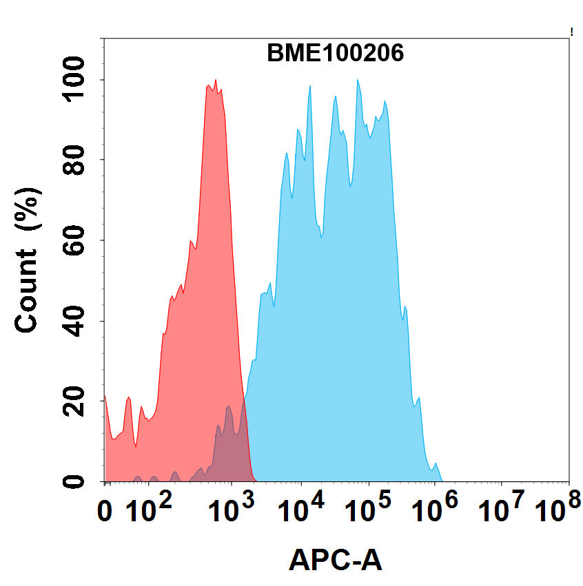 Anti-CD19(loncastuximab biosimilar) mAb